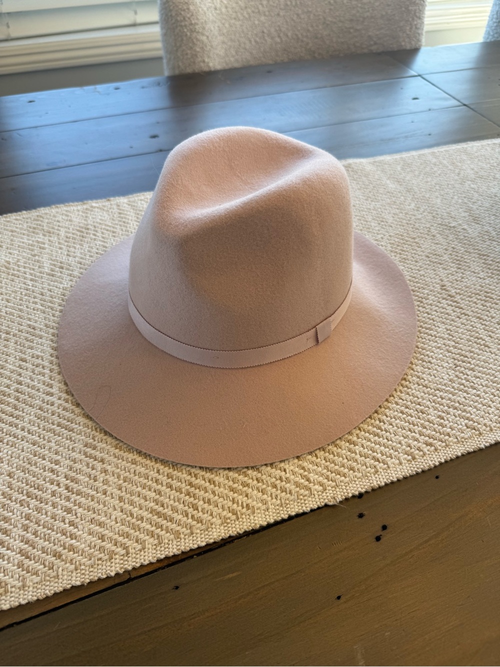 Aritzia Fedora